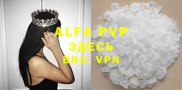 индика Приозерск