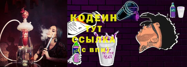 МДПВ Кирс