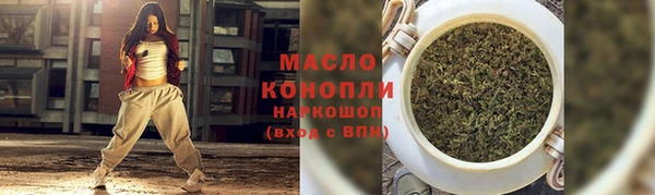 индика Приозерск