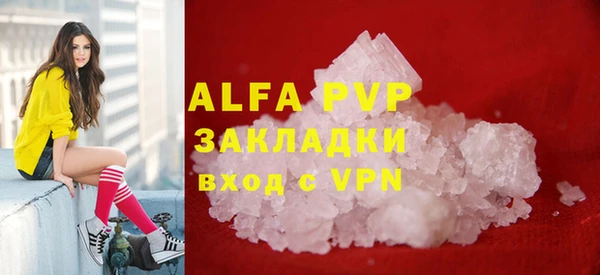 индика Приозерск