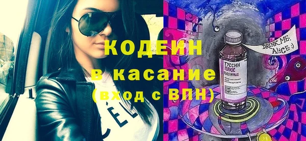 индика Приозерск