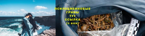трава Протвино