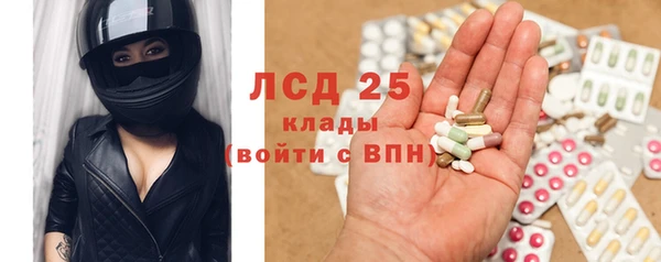 индика Приозерск