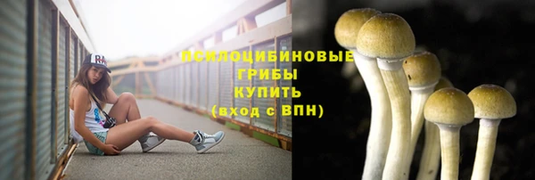 трава Протвино