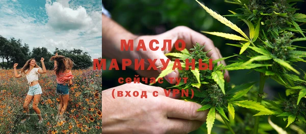 индика Приозерск