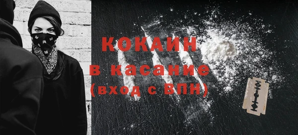 индика Приозерск