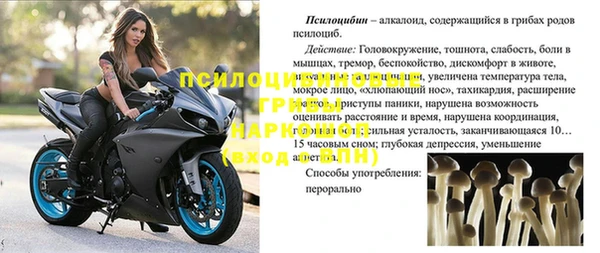 индика Приозерск